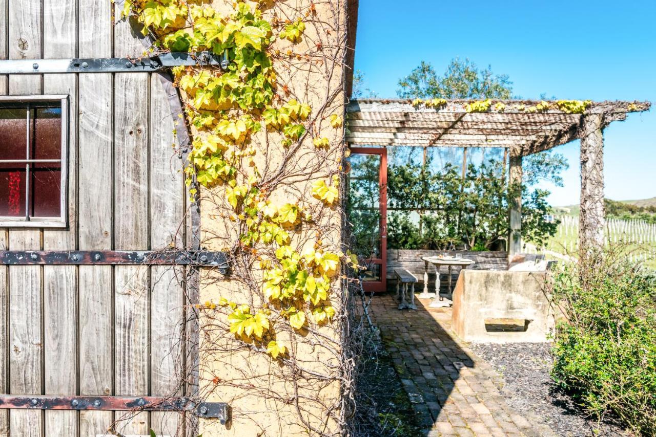 The Vineyard Cottage - Stay Waiheke Onetangi Екстериор снимка