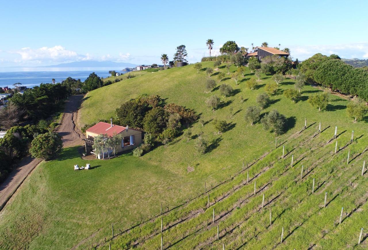 The Vineyard Cottage - Stay Waiheke Onetangi Екстериор снимка